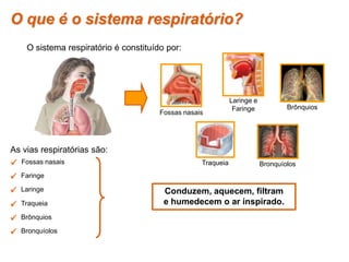  Fossas nasais
 Faringe
 Laringe
 Traqueia
 Brônquios
 Bronquíolos
As vias respiratórias são:
Conduzem, aquecem, filtram
e humedecem o ar inspirado.
O que é o sistema respiratório?
O sistema respiratório é constituído por:
Fossas nasais
Laringe e
Faringe
Traqueia Bronquíolos
Brônquios
 