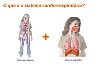 O que é o sistema cardiorrespiratório?
Sistema circulatório
+
Sistema respiratório
 