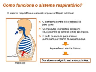 O sistema respiratório é responsável pela ventilação pulmonar.
 O diafragma contrai-se e desloca-se
para baixo.
 Os músculos intercostais contraem-
se, afastando as costelas umas das outras.
O ar rico em oxigénio entra nos pulmões.
A pressão no interior diminui.
 O peito desloca-se para a frente,
aumentando o volume da caixa torácica.
Como funciona o sistema respiratório?
Inspiração
 