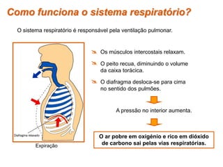  Os músculos intercostais relaxam.
 O peito recua, diminuindo o volume
da caixa torácica.
O ar pobre em oxigénio e rico em dióxido
de carbono sai pelas vias respiratórias.
A pressão no interior aumenta.
 O diafragma desloca-se para cima
no sentido dos pulmões.
Como funciona o sistema respiratório?
O sistema respiratório é responsável pela ventilação pulmonar.
Expiração
 