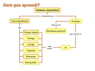 é constituído por
Será que aprendi?
Sistema respiratório
Vias respiratórias
Laringe
Brônquios
Fossas nasais
são
onde
passa
que vai para os
onde ocorre
Pulmões
Faringe
Traqueia
Bronquíolos
Hematose pulmonar
Ar
 