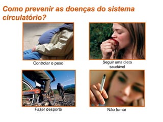 Como prevenir as doenças do sistema
circulatório?
Seguir uma dieta
saudável
Fazer desporto
Controlar o peso
Não fumar
 