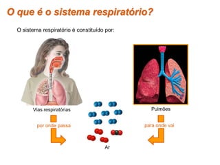 O que é o sistema respiratório?
O sistema respiratório é constituído por:
Ar
por onde passa para onde vai
Vias respiratórias Pulmões
 