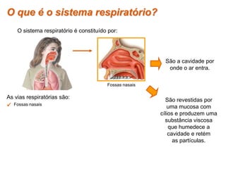 O sistema respiratório é constituído por:
As vias respiratórias são:
São a cavidade por
onde o ar entra.
 Fossas nasais
São revestidas por
uma mucosa com
cílios e produzem uma
substância viscosa
que humedece a
cavidade e retém
as partículas.
O que é o sistema respiratório?
Fossas nasais
 