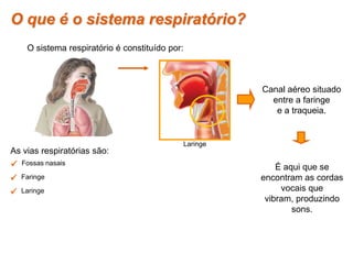  Fossas nasais
 Faringe
 Laringe
As vias respiratórias são:
Canal aéreo situado
entre a faringe
e a traqueia.
É aqui que se
encontram as cordas
vocais que
vibram, produzindo
sons.
O que é o sistema respiratório?
O sistema respiratório é constituído por:
Laringe
 