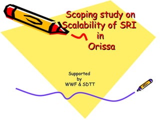 Scoping study on Scalability of SRI  in  Orissa Supported  by  WWF & SDTT 