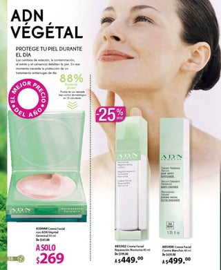 catálogo yves rocher campaña 11A