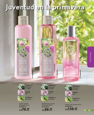 catálogo yves rocher campaña 11A