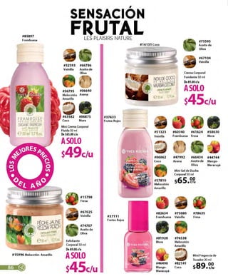 catálogo yves rocher campaña 11A