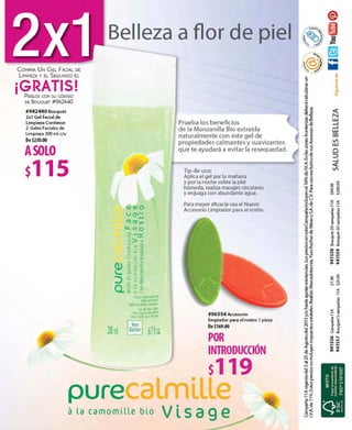 catálogo yves rocher campaña 11A