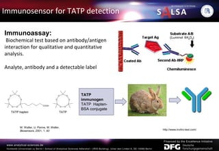 Immunosensor for TATP detection
Immunoassay:
Biochemical test based on antibody/antigen
interaction for qualitative and quantitative
analysis.
Analyte, antibody and a detectable label
TATP
immunogen
TATP Hapten-
BSA conjugate
M. Walter, U. Panne, M. Weller,
Biosensors, 2001, 1, 93 http://www.invitro-test.com/
 