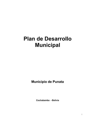 Plan de Desarrollo
    Municipal




  Municipio de Punata




    Cochabamba - Bolivia




                           1
 