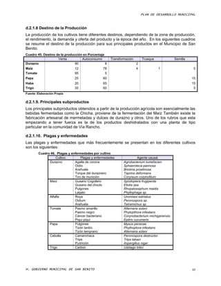 PLAN DE DESARROLLO MUNICIPAL



d.2.1.8 Destino de la Producción
La producción de los cultivos tiene diferentes destinos, dependiendo de la zona de producción,
el rendimiento, la demanda y oferta del producto y la época del año. En los siguientes cuadros
se resume el destino de la producción para sus principales productos en el Municipio de San
Benito.
Cuadro 45. Destino de la producción en Porcentaje
                    Venta          Autoconsumo        Transformación       Trueque            Semilla
Durazno                        90                 8                    2
Maíz                           12               78                     4             1                   5
Tomate                         95                 5
Papa                          25                60                                                      15
Haba                          20                65                                                      15
Trigo                         35                60                                                       5
Fuente: Elaboración Propia


d.2.1.9. Principales subproductos
Los principales subproductos obtenidos a partir de la producción agrícola son esencialmente las
bebidas fermentadas como la Chicha, proviene de la fermentación del Maíz También existe la
fabricación artesanal de mermeladas y dulces de durazno y otros. Uno de los rubros que esta
empezando a tener fuerza es la de los productos deshidratados con una planta de tipo
particular en la comunidad de Vía Rancho.

d.2.1.10. Plagas y enfermedades
Las plagas y enfermedades que más frecuentemente se presentan en los diferentes cultivos
son los siguientes:
        Cuadro 46. Plagas y enfermedades por cultivo
                  Cultivo         Plagas y enfermedades                 Agente causal
              Durazno         Agalla de corona                Agrobacterium tumefacien
                              Oidio                           Sphaeroteca pannosa
                              Arañuela                        Briobria proetinosa
                              Torque del duraznero            Taprina deformans
                              Tiro de munición                Coryreum corphofilum
              Maíz            Gusano Cogollero                Spodoptera frugiperda
                              Gusano del choclo               Eliotis zea
                              Pulgones                        Rhopalossiphum maidis
                              Laqato                          Phyllophaga sp.
              Alfalfa         Roya                            Uromises estriatus
                              Oidium                          Peronospora sp.
                              Arañuela                        Tetramichus sp.
              Tomate          Pasmo amarillo                  Alternaria solani
                              Pasmo negro                     Phytopthora infestans
                              Cáncer bacteriano               Corynobacterium michiganensis
                              Piqui piqui                     Epitrix cucumeris
              Papa            Pulgones                        Mysus persicae
                              Tizón tardío                    Phythoptora infestans
                              Tizón temprano                  Alternaria solani
              Cebolla         Camanchaca                      Peronospora destructor
                              Trips                           Trips tabaci
                              Pudrición                       Aspergillus niger
              Trigo           Carbon                          Ustílago tritici




H. GOBIERNO MUNICIPAL DE SAN BENITO                                                                     48
 