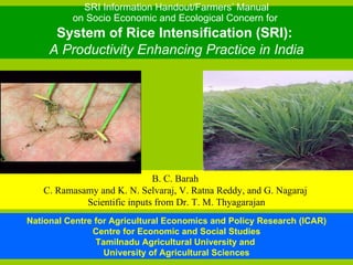 SRI Information Handout/Farmers’ Manual on Socio Economic and Ecological Concern for  System of Rice Intensification (SRI):  A Productivity Enhancing Practice in India B. C. Barah  C. Ramasamy and K. N. Selvaraj, V. Ratna Reddy, and G. Nagaraj  Scientific inputs from Dr. T. M. Thyagarajan National Centre for Agricultural Economics and Policy Research (ICAR) Centre for Economic and Social Studies Tamilnadu Agricultural University and  University of Agricultural Sciences 