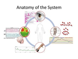 SensorsWireless EEGFacial muscles, emotional clusters, raw EEGWireless Galvanic Skin ConductanceArousal levelEye TrackerGaze-point, duration, mouse-clicksHapticsButton presses, head tilt