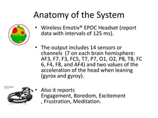 Anatomy of the System