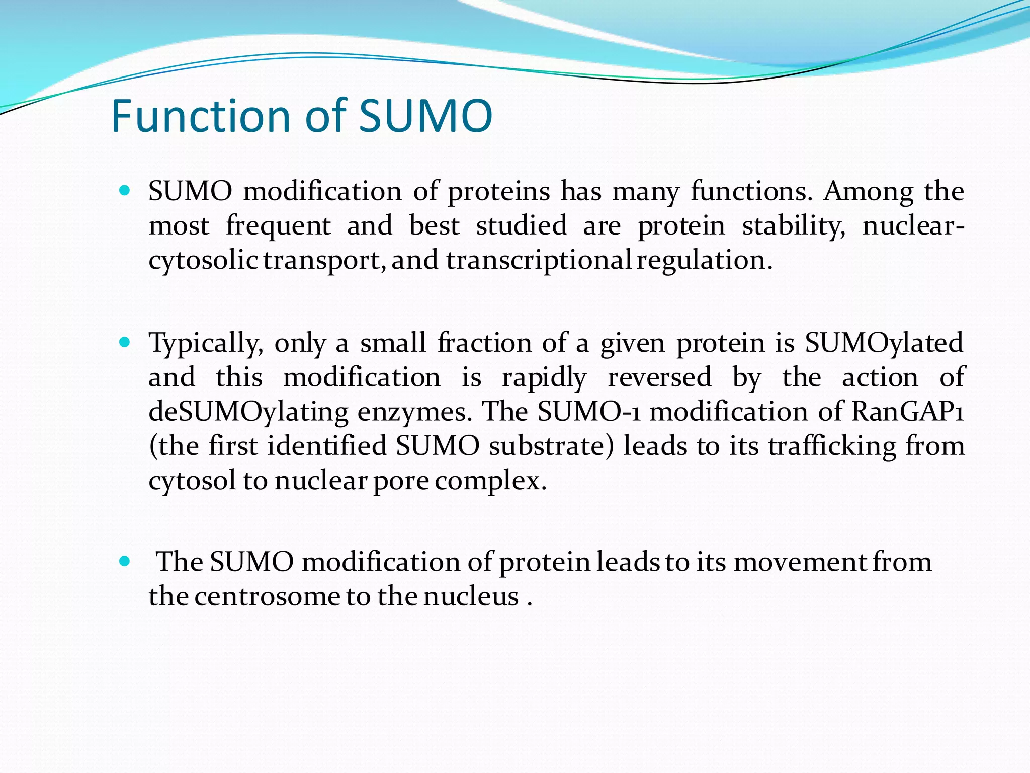 Function	of	SUMO
— SUMO modification of proteins has many functions. Among the
most frequent and best studied are protein stability, nuclear-
cytosolictransport,and transcriptionalregulation.
— Typically, only a small fraction of a given protein is SUMOylated
and this modification is rapidly reversed by the action of
deSUMOylating enzymes. The SUMO-1 modification of RanGAP1
(the first identified SUMO substrate) leads to its trafficking from
cytosol to nuclear pore complex.
— The SUMO modification of protein leadsto its movementfrom
the centrosome to the nucleus .
 