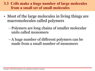 molecules of cells