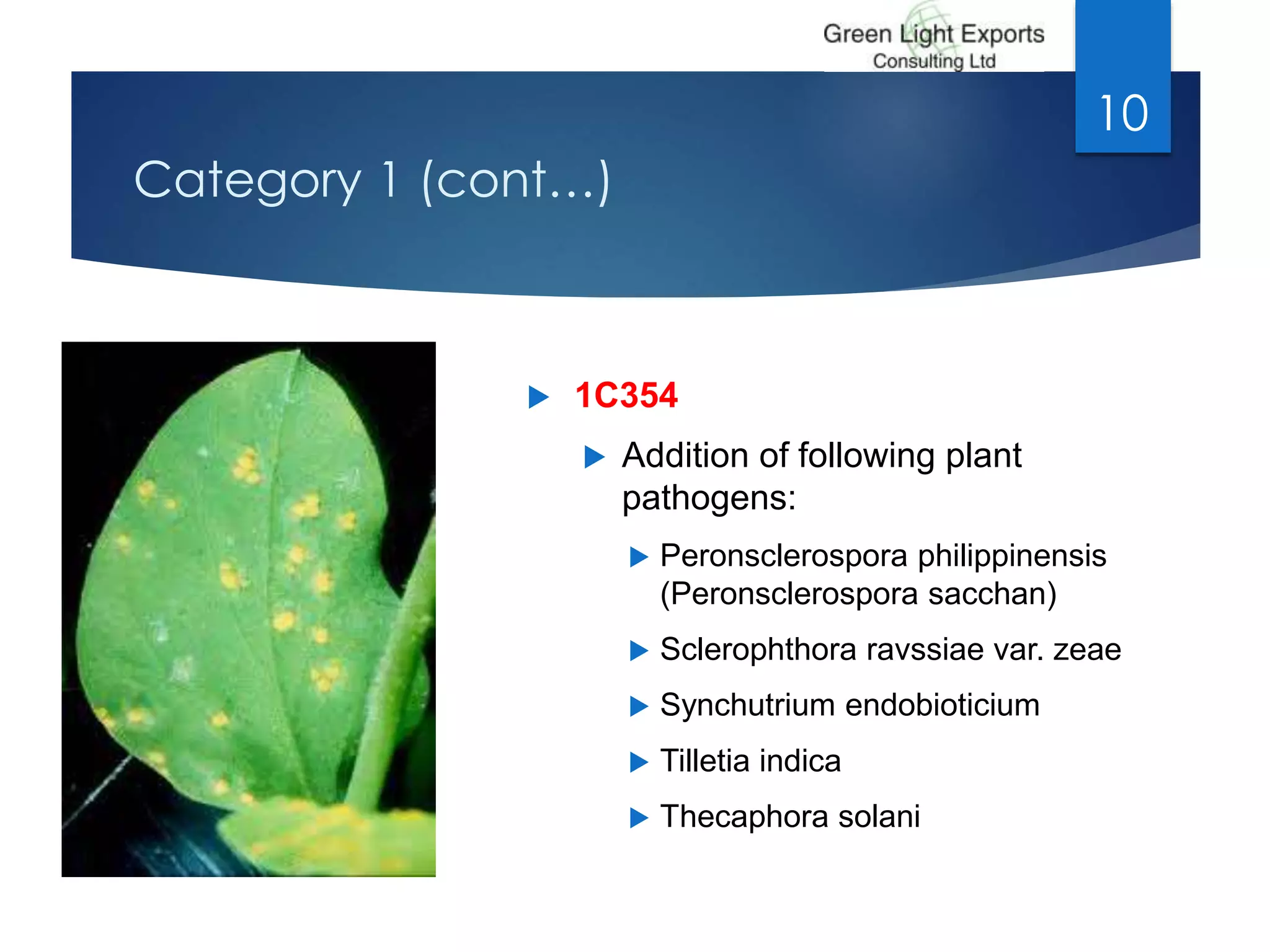 Category 1 (cont…)
 1C354
 Addition of following plant
pathogens:
 Peronsclerospora philippinensis
(Peronsclerospora sacchan)
 Sclerophthora ravssiae var. zeae
 Synchutrium endobioticium
 Tilletia indica
 Thecaphora solani
10
 