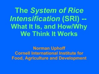 The  System of Rice Intensification  (SRI) --  What It Is, and How/Why We Think It Works Norman Uphoff Cornell International Institute for Food, Agriculture and Development 