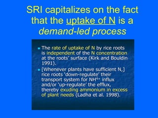 SRI capitalizes on the fact that the  uptake of N  is a demand-led process 