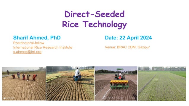 Direct Seeded Rice - Climate Smart Agriculture | PDF | Agriculture ...