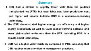 Direct Seeded Rice - Climate Smart Agriculture | PDF