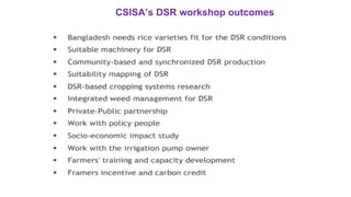 Direct Seeded Rice - Climate Smart Agriculture | PDF