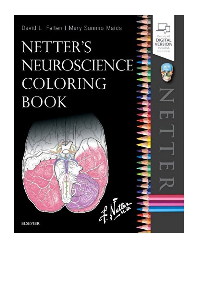 Download Netter's Neuroscience Coloring Book PDF - David L. Felten MD PhD