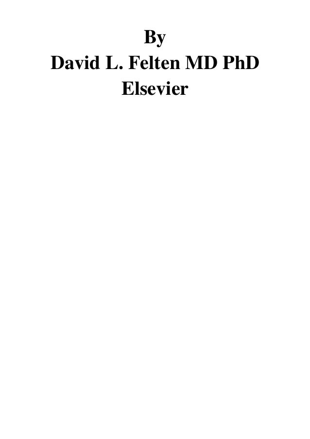 Download Netter S Neuroscience Coloring Book Pdf David L Felten Md Phd