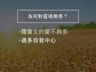 為何對靈魂無感？
•體會主的愛不夠多
•過多自我中心
 