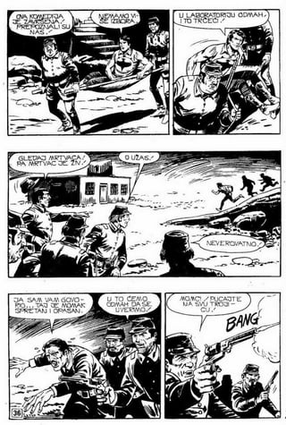 0325. BlešTavi Trag