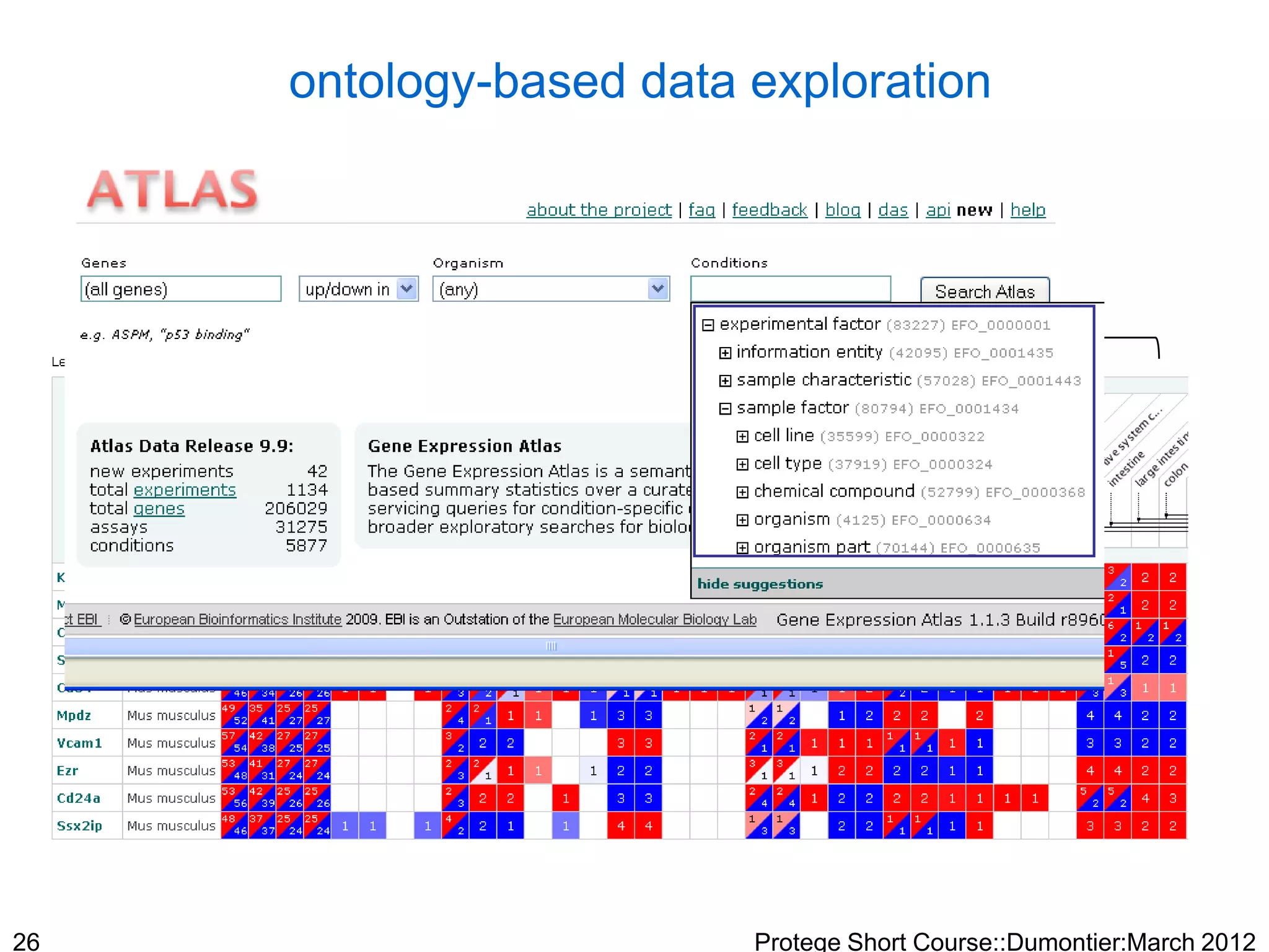 ontology-based data exploration
     Query for Cell adhesion genes in all „organism parts‟

                                                                   „View on EFO‟




               Ontologically Modeling Sample Variables in Gene Expression Data
                                       malone@ebi.ac.uk
26                                                                   Protege Short Course::Dumontier:March 2012
 