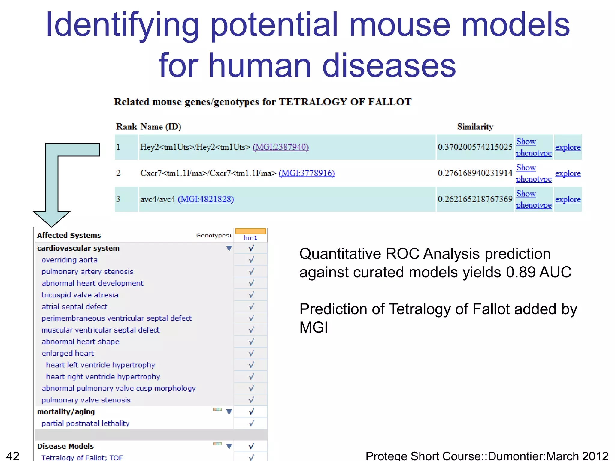 Identifying potential mouse models
             for human diseases




                     Quantitative ROC Analysis prediction
                     against curated models yields 0.89 AUC

                     Prediction of Tetralogy of Fallot added by
                     MGI




42                            Protege Short Course::Dumontier:March 2012
 