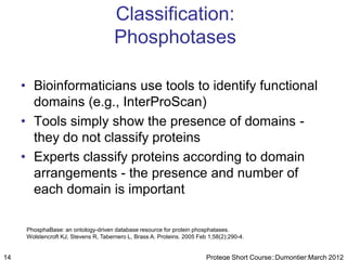 Classification:
                                       Phosphotases

     • Bioinformaticians use tools to identify functional
       domains (e.g., InterProScan)
     • Tools simply show the presence of domains -
       they do not classify proteins
     • Experts classify proteins according to domain
       arrangements - the presence and number of
       each domain is important

      PhosphaBase: an ontology-driven database resource for protein phosphatases.
      Wolstencroft KJ, Stevens R, Tabernero L, Brass A. Proteins. 2005 Feb 1;58(2):290-4.


14                                                                        Protege Short Course::Dumontier:March 2012
 
