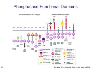 Phosphatase Functional Domains




15                      Protege Short Course::Dumontier:March 2012
 