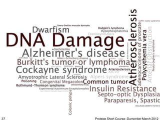 37   Protege Short Course::Dumontier:March 2012
 