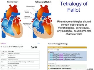 Tetralogy of
                             Fallot

                       Phenotype ontologies should
                          contain descriptions of
                        morphological, behavioural,
                       physiological, developmental
                              characteristics


            Human Phenotype Ontology

     OMIM




39                   Protege Short Course::Dumontier:March 2012
 