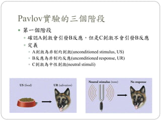 Pavlov實驗的三個階段
 第一個階段
 確認A刺激會引發B反應，但是C刺激不會引發B反應
 定義
 A刺激為非制約刺激(unconditioned stimulus, US)
 B反應為非制約反應(unconditioned response, UR)
 C刺激為中性刺激(neutral stimuli)
 