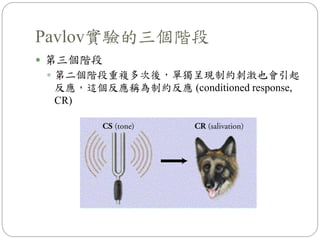 Pavlov實驗的三個階段
 第三個階段
 第二個階段重複多次後，單獨呈現制約刺激也會引起
反應，這個反應稱為制約反應 (conditioned response,
CR)
 