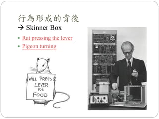  Rat pressing the lever
 Pigeon turning
行為形成的背後
 Skinner Box
 