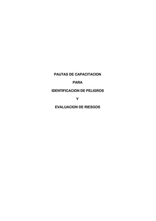 PAUTAS DE CAPACITACION
PARA
IDENTIFICACION DE PELIGROS
Y
EVALUACION DE RIESGOS
 