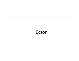 Ecton



        19
 