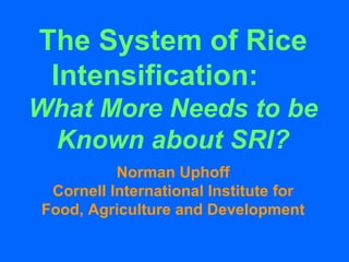 The System of Rice Intensification:   What More Needs to be Known about SRI? Norman Uphoff Cornell International Institute for Food, Agriculture and Development 