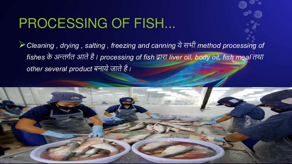 FISH PRESERVATION & PROSESSING