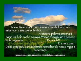 [email_address] Amanhã é o tempo que devemos estabelecer para estarmos  a sós com o Senhor.  A própria palavra amanhã é como um belo cacho de uvas. Vamos esmagá-las e beber o vinho sagrado.  De manhã!  É a hora que Deus preparou para estarmos no melhor do nosso  vigor e esperança. 