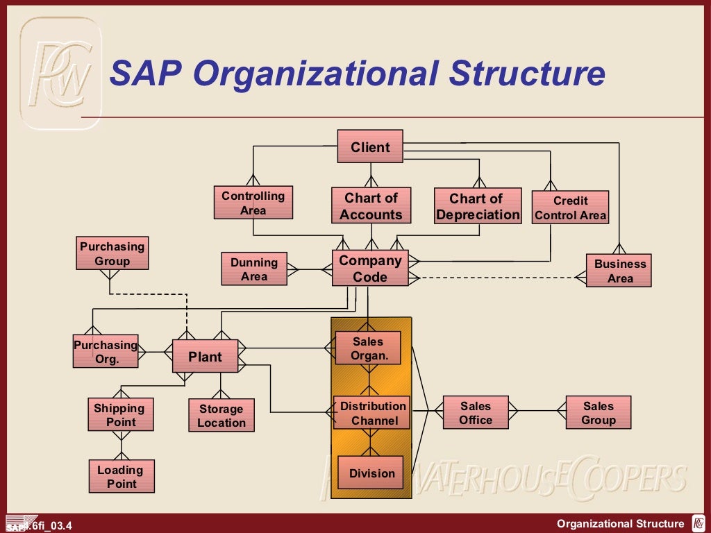 SAP FI Organization Structure | https://sapdocs.info