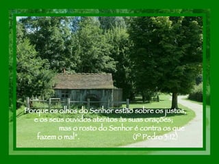 Porque os olhos do Senhor estão sobre os justos,  e os seus ouvidos atentos às suas orações;  mas o rosto do Senhor é contra os que fazem o mal”.  (1º Pedro 3:12) 