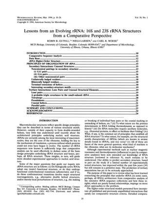 MICROBIOLOGICAL REVIEWS, Mar. 1994, p. 10-26 Vol. 58, No. 1
0146-0749/94/$04.00+0
Copyright C 1994, American Society for Microbiology
Lessons from an Evolving rRNA: 16S and 23S rRNA Structures
from a Comparative Perspective
ROBIN R. GUTELL,I* NIELS LARSEN,2 AND CARL R. WOESE2
MCD Biology, University of Colorado, Boulder, Colorado 80309-0347,l and Department ofMicrobiology,
University ofIllinois, Urbana, Illinois 618012
INTRODUCTION....................................................... 10
Comparative Sequence Analysis....................................................... 11
Data Base.......................................................12
rRNA Higher-Order Structure....................................................... 12
PRINCIPLES OF ORGANIZATION OF rRNA....................................................... 15
Secondary Interactions: Unusual Structures....................................................... 15
Noncanonical pairings in secondary structure....................................................... 15
(i) G:U pairs....................................................... 15
(ii) G:A pairs....................................................... 16
(iii) Other noncanonical pairs....................................................... 16
Unilaterally bulged residues....................................................... 18
Bilaterally bulged residues....................................................... 18
Terminal extensions of helices....................................................... 18
Interesting secondary-structure motifs....................................................... 19
Tertiary Interactions: Lone Pairs and Unusual Structural Elements....................................................... 19
Lone pairs....................................................... 19
A probable triple covariance in the small-subunit rRNA....................................................... 20
Tetraloops ....................................................... 20
Pseudoknots....................................................... 21
Coaxial helices....................................................... 21
Parallel pairs....................................................... 23
SUMMARY AND CONCLUSIONS....................................................... 23
ACKNOWLEDGMENTS............................................................. 24
REFERENCES............................................................. 24
INTRODUCTION
Macromolecular structures reflect specific design principles;
they can be described in terms of various structural motifs.
However, outside of their capacity to form double-stranded
helices, very little was understood until recently about the
architectural principles underlying nucleic acid structure.
rRNAs are certainly among the most interesting of macromol-
ecules; they are the core of the ribosome, holding the key to
the mechanism of translation, a process without which proteins
could not even have begun to evolve. The number of rRNA
sequences now known is sufficiently large that comparative
analysis can be used effectively to deduce some of the basic
design principles underlying rRNA structure and hence, per-
haps, all RNA structure. These insights, in turn, will guide
more detailed experimental approaches to nucleic acid struc-
ture.
Some of the major questions that guide our inquiry into
rRNA structure are as follows. (i) Do biologically active RNAs
adopt one (static) functional structure, or do they undergo
functional conformational transitions (allosterism); and if so,
do these conformational transitions involve major structural
rearrangements, e.g., alternative double helical structures,
and/or merely local perturbations of structure, e.g., the making
*
Corresponding author. Mailing address: MCD Biology, Campus
Box 347, University of Colorado, Boulder, CO 80309-0347. Phone:
(303) 492-8595. Fax: (303) 492-7744. Electronic mail address:
rgutell@boulder.colorado.edu.
or breaking of individual base pairs or the coaxial stacking or
unstacking of helices, etc.? (ii) To what extent are the primary
determinants in RNA folding thermodynamic as opposed to
kinetic? (iii) Do RNA molecules require ancillary molecules,
e.g., ribosomal proteins, to effect or facilitate their folding? (iv)
What, if any, is the common set of principles that establish all
RNA structure? To what extent, for example, are the structural
motifs characteristic of tRNAs (which are known in atomic
detail) found in rRNAs, and vice versa? (v) All of these are
facets of the more general question, what kind of machine is
the ribosome; what are its molecular mechanics?
Although experimental methods such as nuclear magnetic
resonance and thermodynamics (influenced in part by compar-
ative analyses) have now extended our knowledge of RNA
structure (reviewed in reference 9), much remains to be
understood. Our ability to predict secondary structure, based
in part on the study of a limited number of experimentally
tested structures, has improved within the past few years (34)
but still remains in a primitive state. The prediction of tertiary
associations has yet to be seriously approached.
The purpose of this paper is to review what has been learned
concerning the principles that underlie rRNA (in some cases,
perhaps, all RNA) architecture from comparative analysis of
the extensive rRNA sequence collections and how these in-
sights, which are purely formal relationships, impinge on more
direct approaches to the problem.
The higher-order structural models presented here incorpo-
rate all published and previously unpublished interactions that
satisfy our comparative structure criteria. Detailed compara-
10
 
