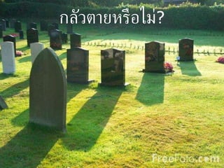 กลัวตายหรือไม่ ? 